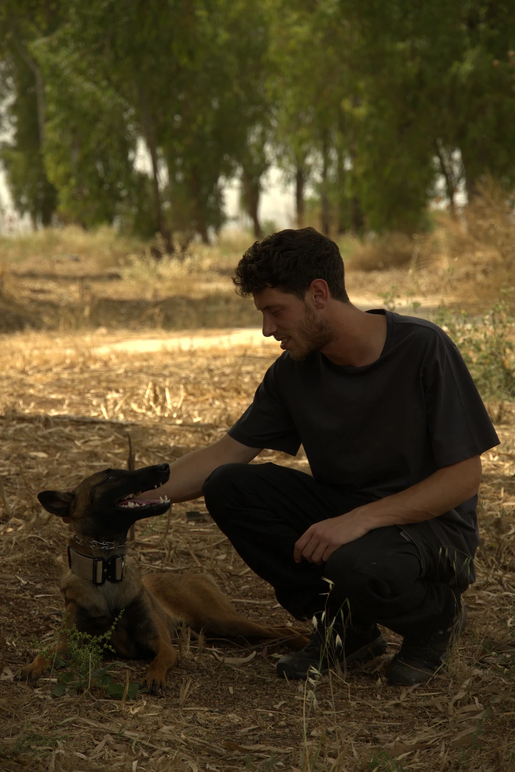 סער אילוף כלבים